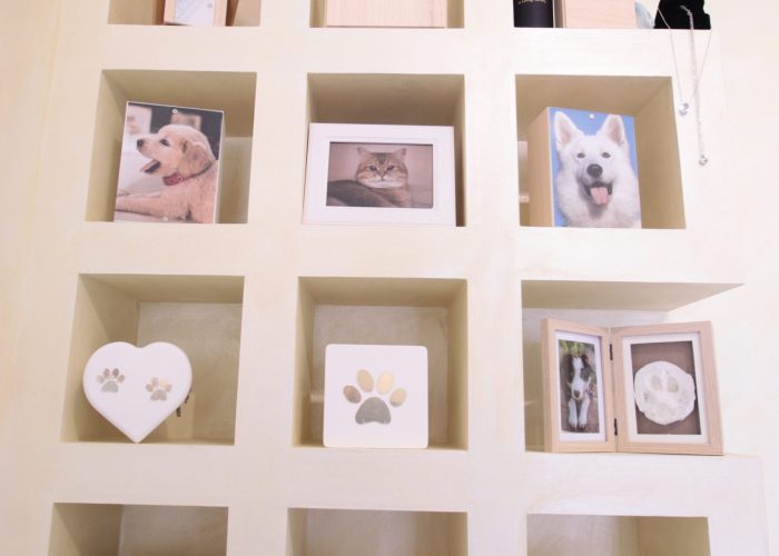 fanelli-pet-cremazione-animali-canepina-viterbo (4)