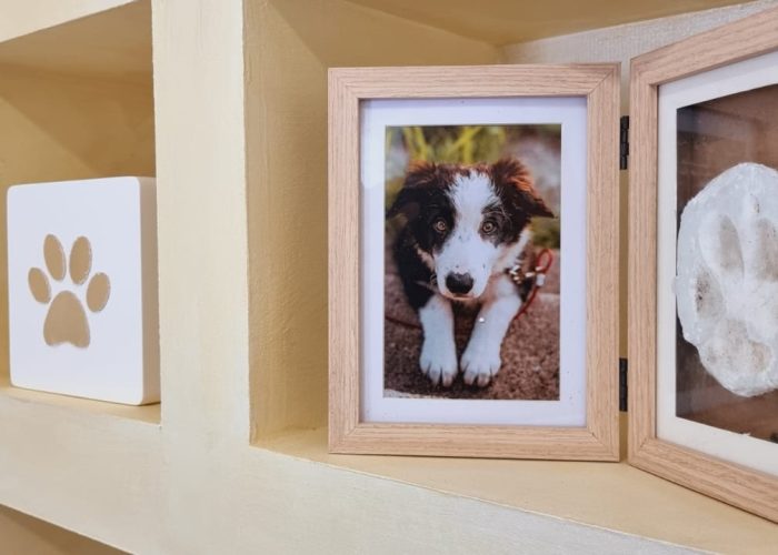fanelli-pet-service-cremazione-animali-canepina-viterbo (13)