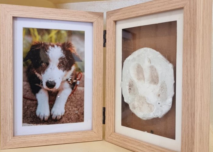 fanelli-pet-service-cremazione-animali-canepina-viterbo (24)