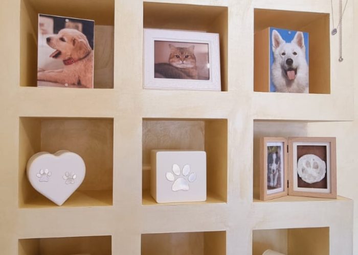 fanelli-pet-service-cremazione-animali-canepina-viterbo (28)